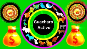 Guacharo Activo