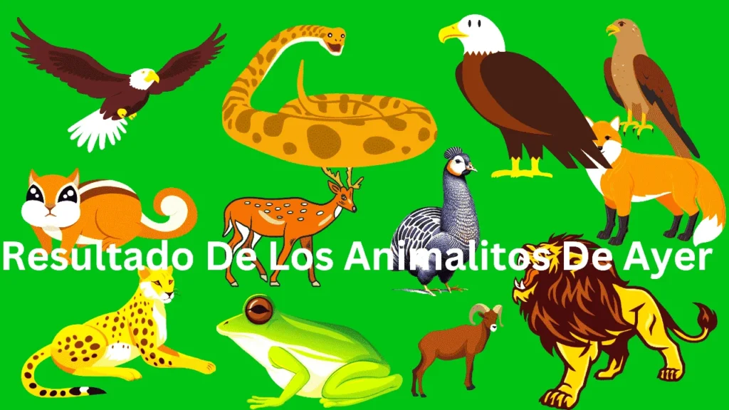 Resultados Animalitos De Ayer