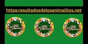 Lotto Activo Hoy 29/10/2024